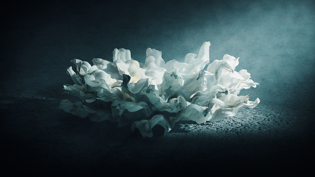 夢(mèng)的旅途 風(fēng)格幀（圖ZMzc3Mzc1OTgw） - 動(dòng)畫/影視 - 站酷設(shè)計(jì)師羽毛p1umage原創(chuàng)素材 - 站酷ZCOOL