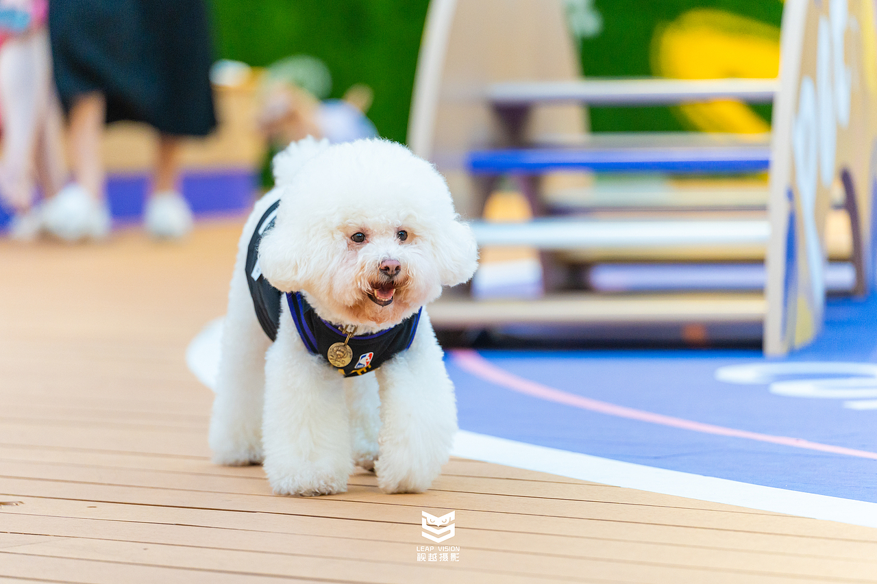 广州天河萌宠乐园拍摄