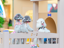 廣州天河萌寵樂園拍攝