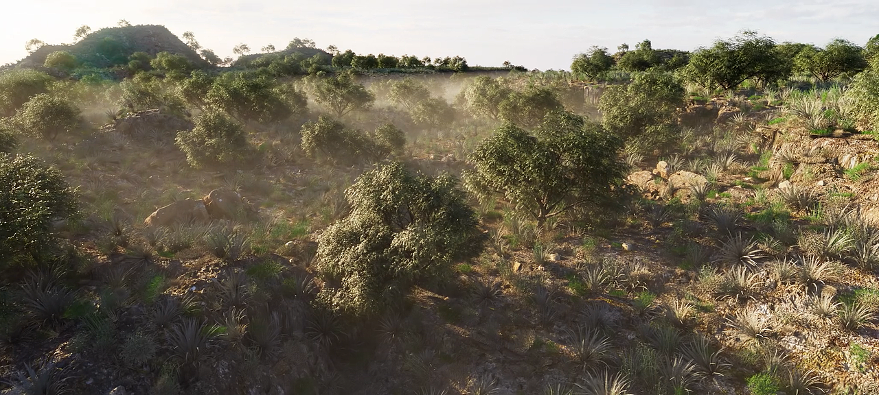 废弃文明的遗迹