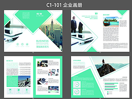 C1-101企业画册设计【外贸宣传册，招商画册，定制版式
