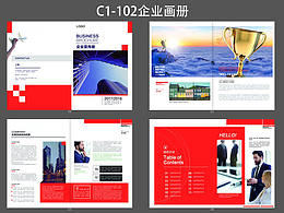 C1-102企业画册设计【外贸宣传册，招商画册，定制版式