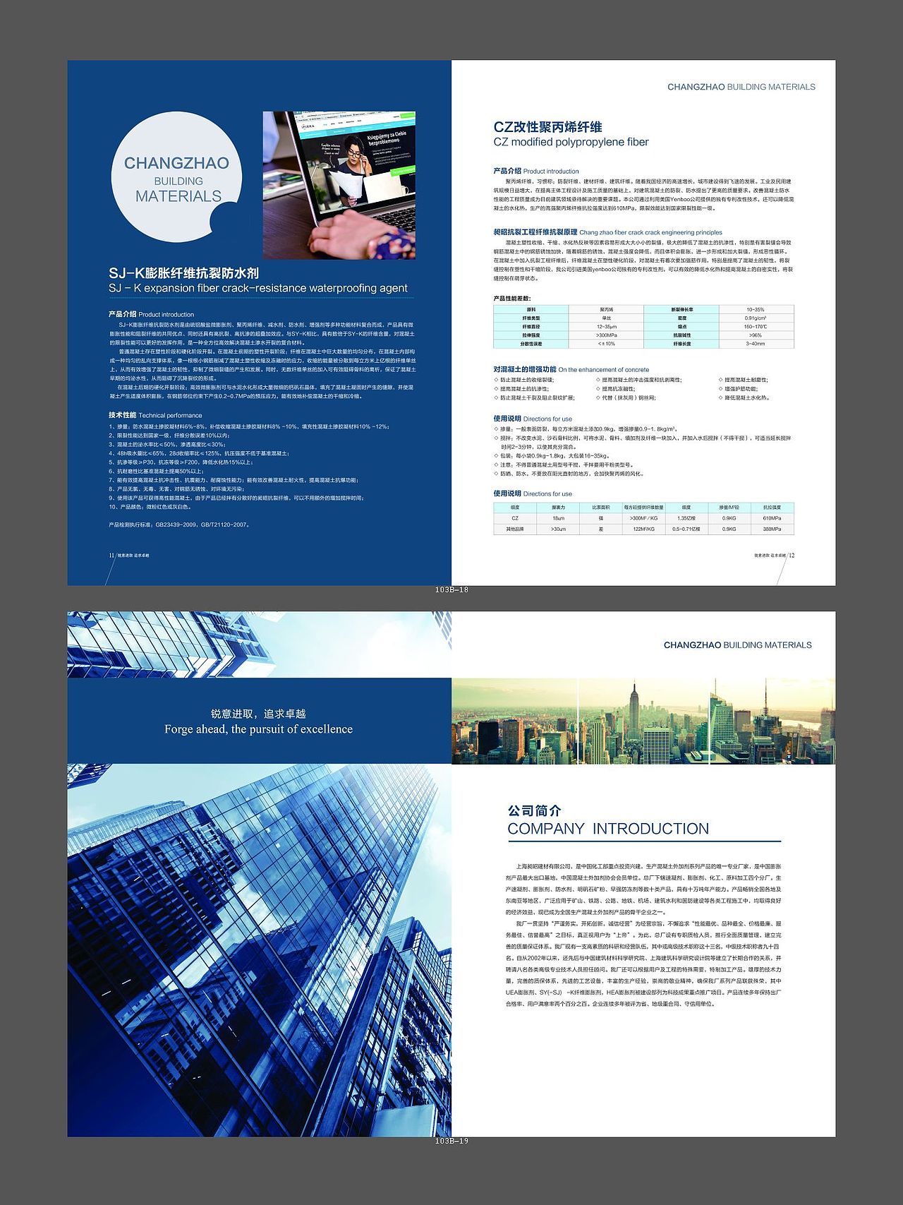 C1-103企业画册设计【外贸宣传册,招商画册,定制版式