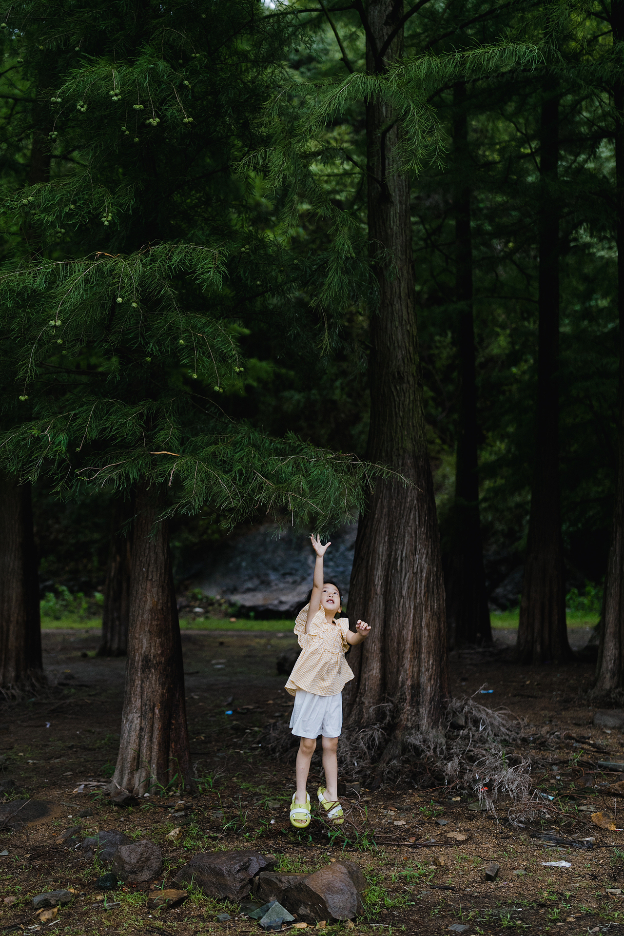 以绍兴阿勒泰的名义走红