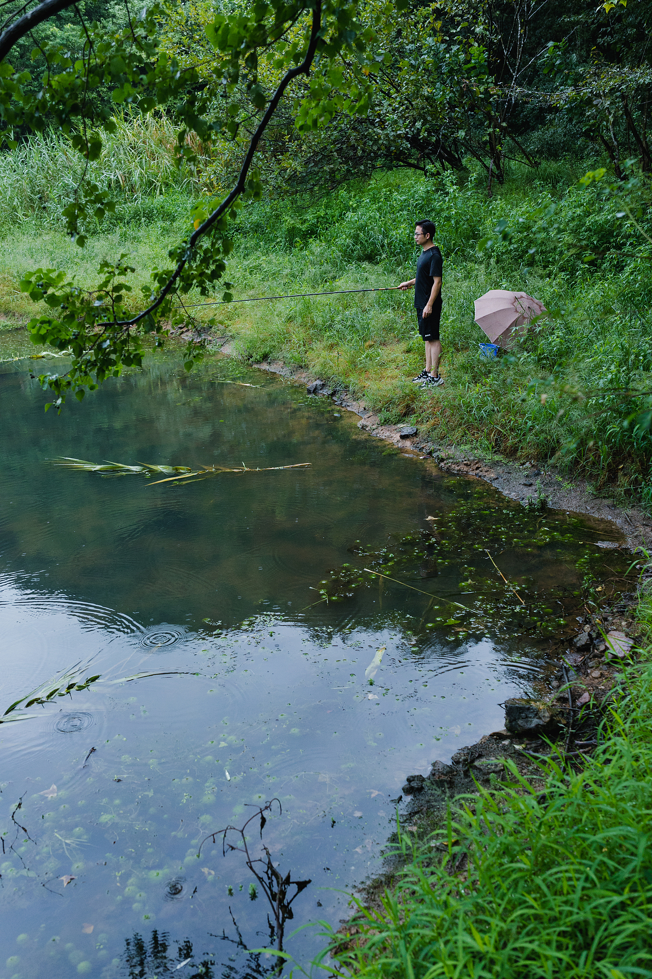 以绍兴阿勒泰的名义走红