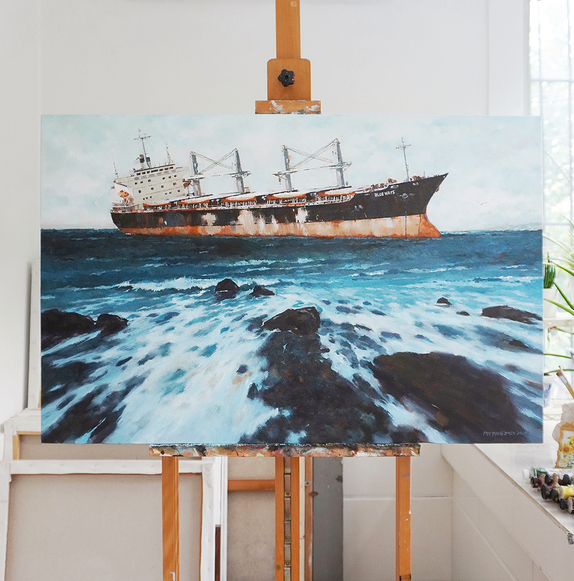 一场美丽的意外让多少人为你共赴山海