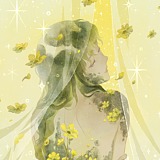 木蝉emiiis的头像