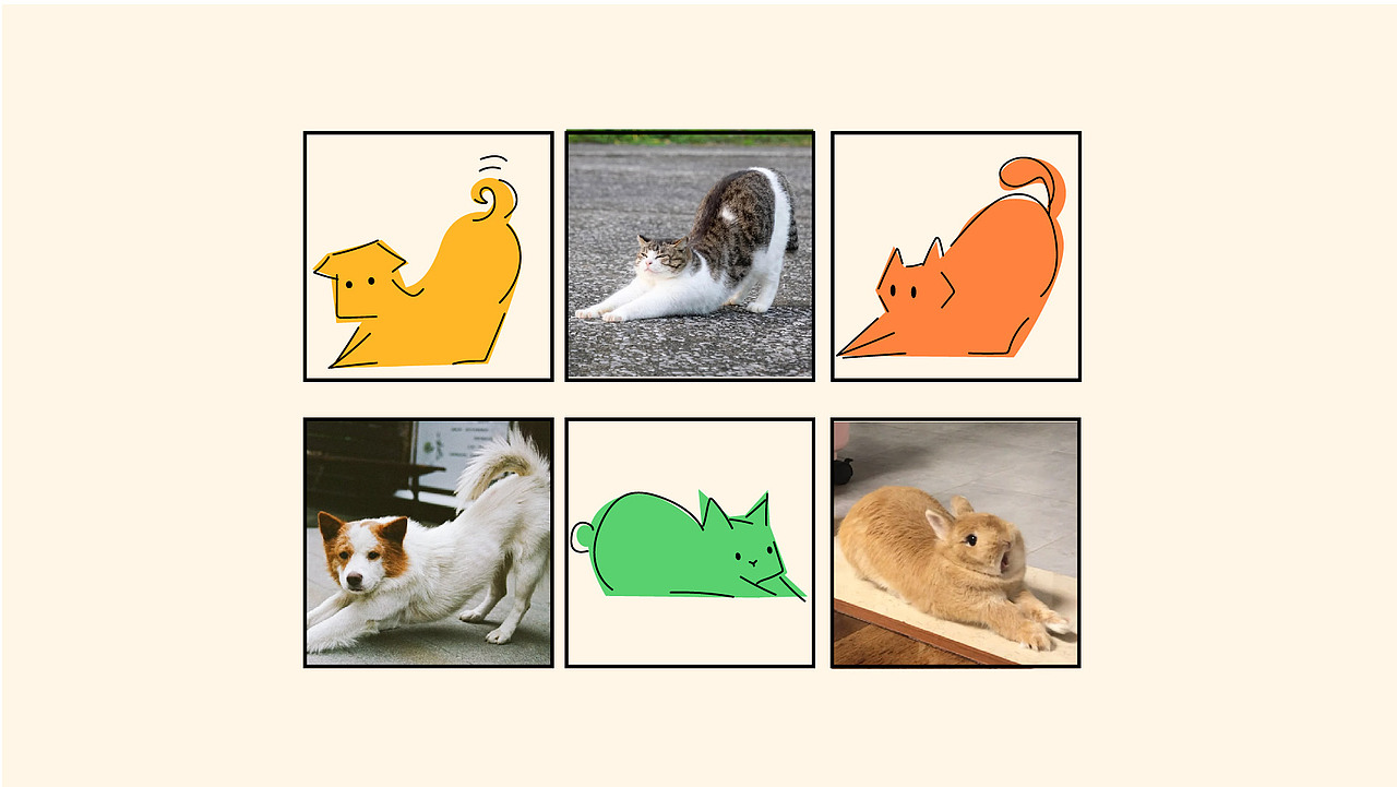 HAJIMI哈基米 | 宠物品牌包装设计（图ZMzc3NDQ5NDMy） - 包装 - 站酷设计师Fiona野生设计原创素材 - 站酷ZCOOL