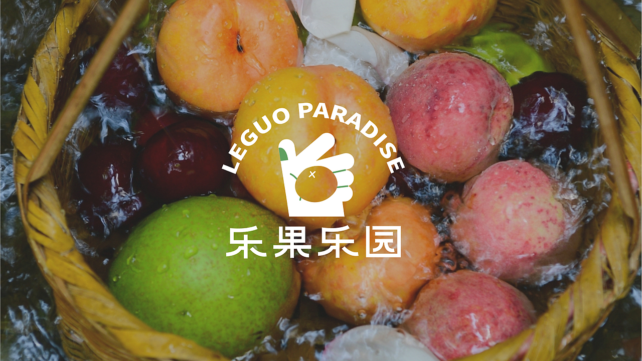 “乐果乐园”品牌设计