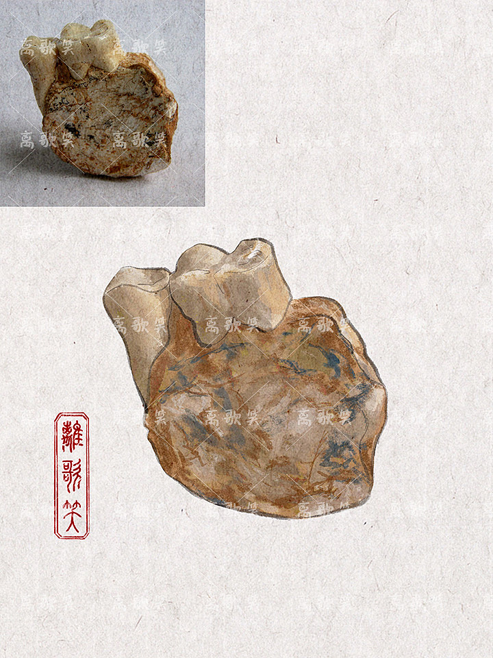 重庆博物馆｜文物插画（图ZMzc3NTE0Njcy） - 商业插画 - 站酷设计师离歌笑z原创素材 - 站酷ZCOOL