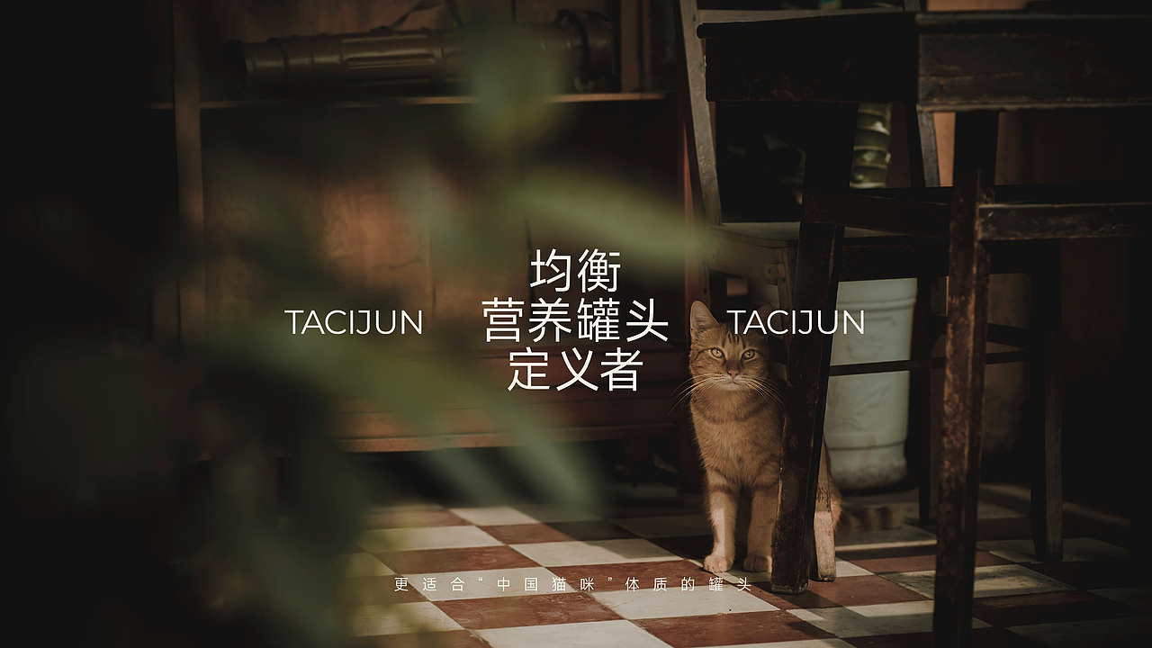 「贪吃君」TACIJUN宠物品牌视觉设计(图ZMzc3NTM4NjUy) - 品牌 - 站酷设计师W_CHEN原创素材 - 站酷ZCOOL