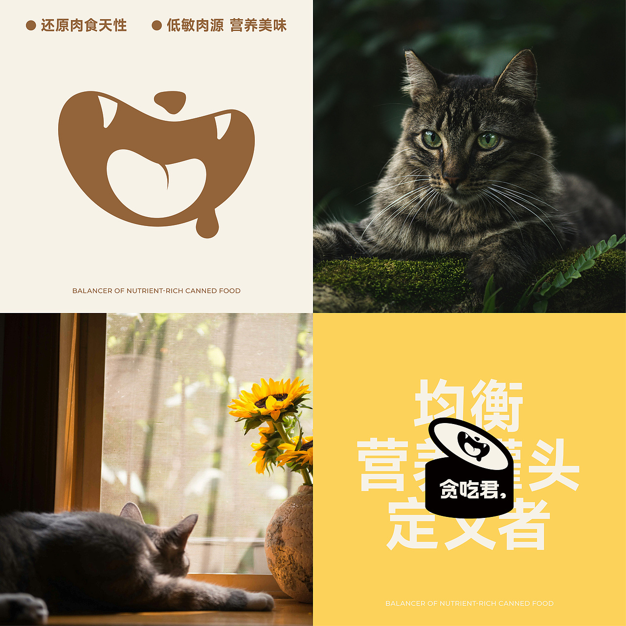 「贪吃君」TACIJUN宠物品牌视觉设计(图ZMzc3NTM4NjU2) - 品牌 - 站酷设计师W_CHEN原创素材 - 站酷ZCOOL