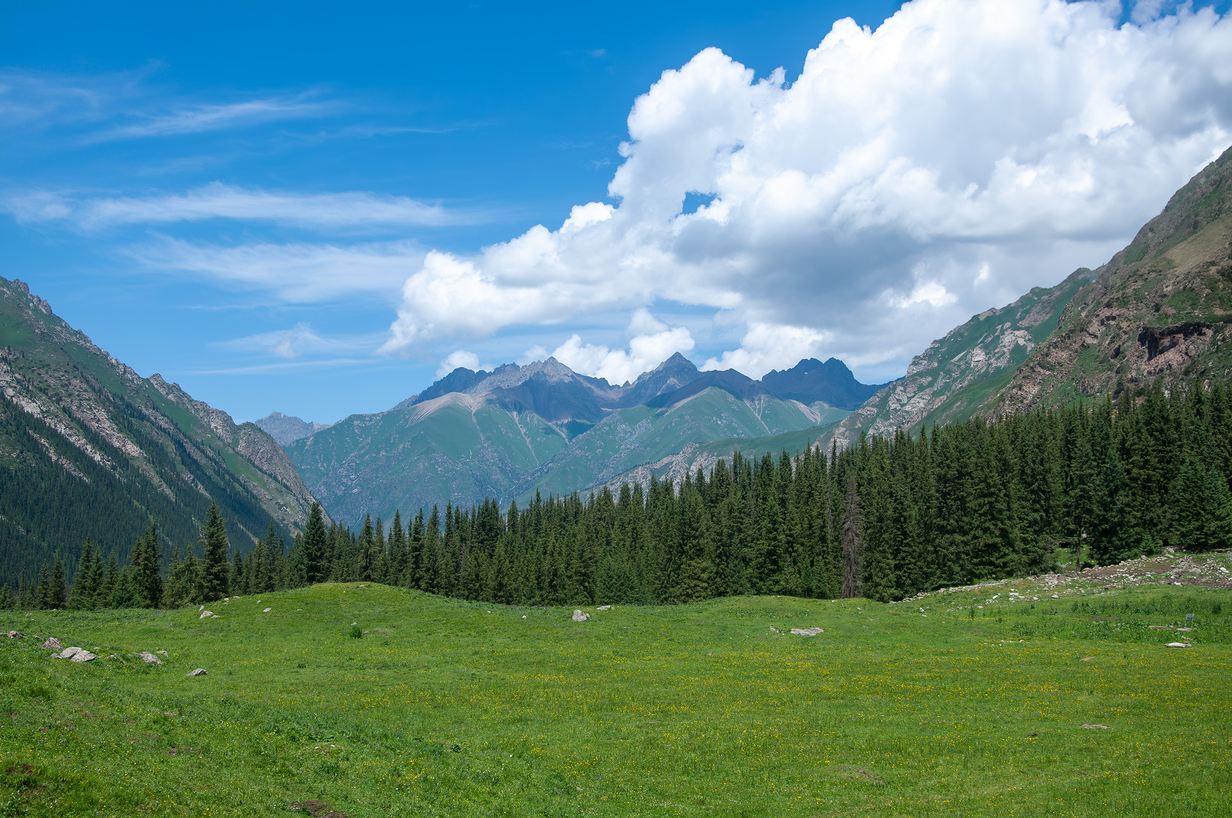熱心市民周先生的個(gè)人主頁(yè)（封面預(yù)覽） - 主頁(yè)封面設(shè)置 - 站酷設(shè)計(jì)師熱心市民周先生原創(chuàng)素材 - 站酷ZCOOL