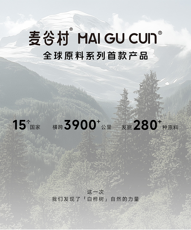 白桦树浓缩液详情