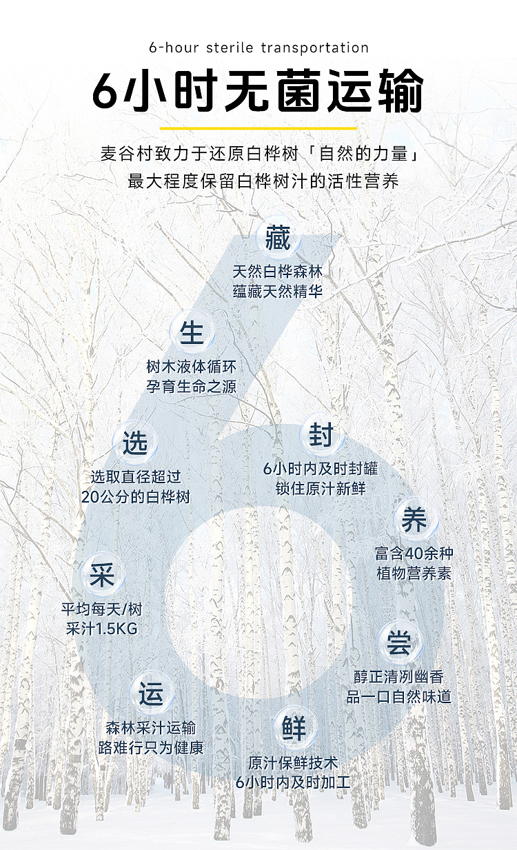 白桦树浓缩液详情