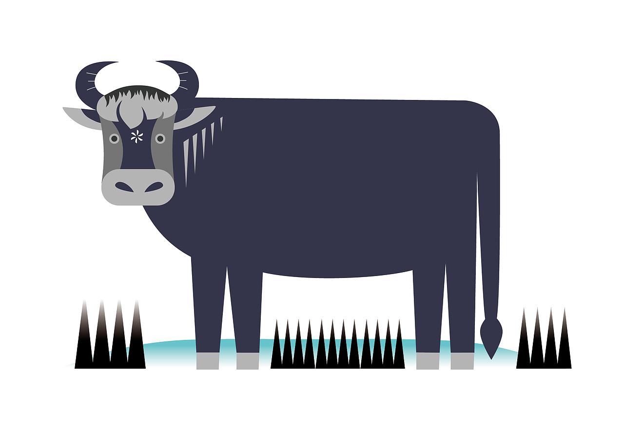 儿童插画与包装设计