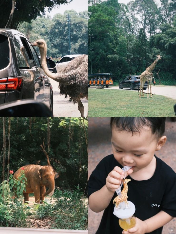 文旅玩法花样百出，主题乐园的未来是“去乐园化”？（图ZMTQ5MTY0NjA=） - 资讯 - 站酷设计师空间印象商业设计原创素材 - 站酷ZCOOL