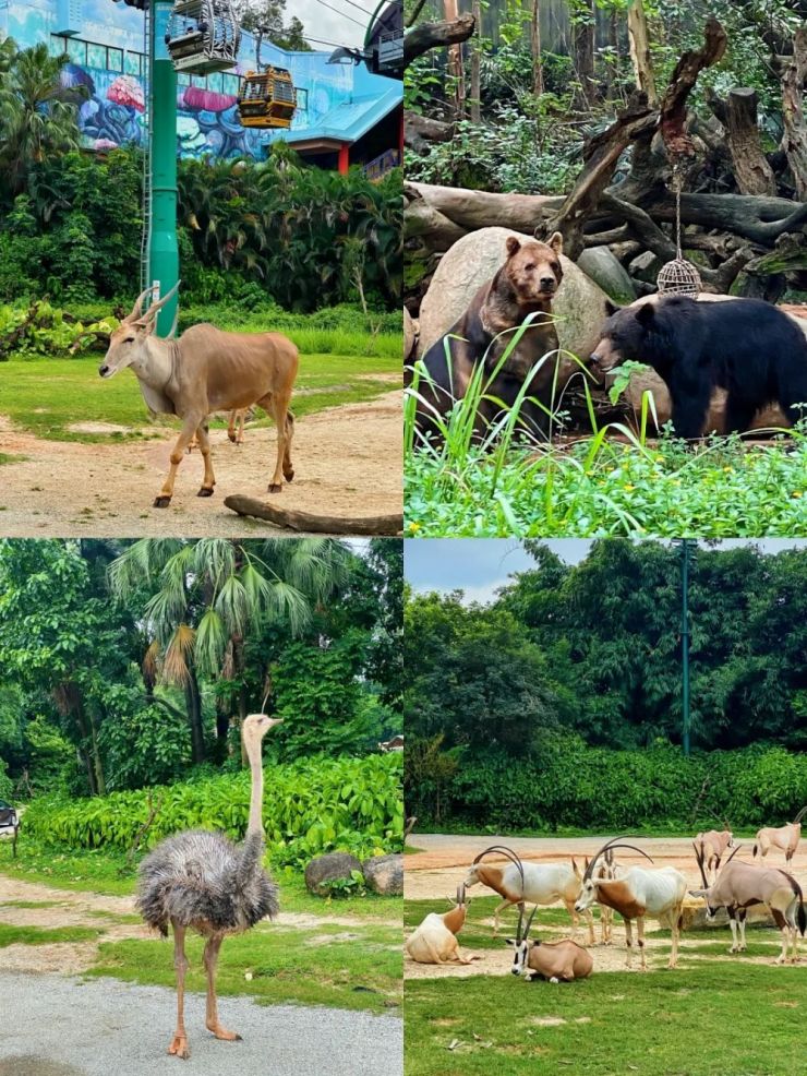 文旅玩法花样百出，主题乐园的未来是“去乐园化”？（图ZMTQ5MTY0NjQ=） - 资讯 - 站酷设计师空间印象商业设计原创素材 - 站酷ZCOOL
