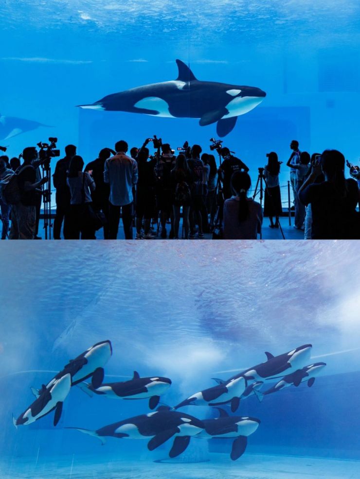 文旅玩法花样百出，主题乐园的未来是“去乐园化”？（图ZMTQ5MTY0NzI=） - 资讯 - 站酷设计师空间印象商业设计原创素材 - 站酷ZCOOL