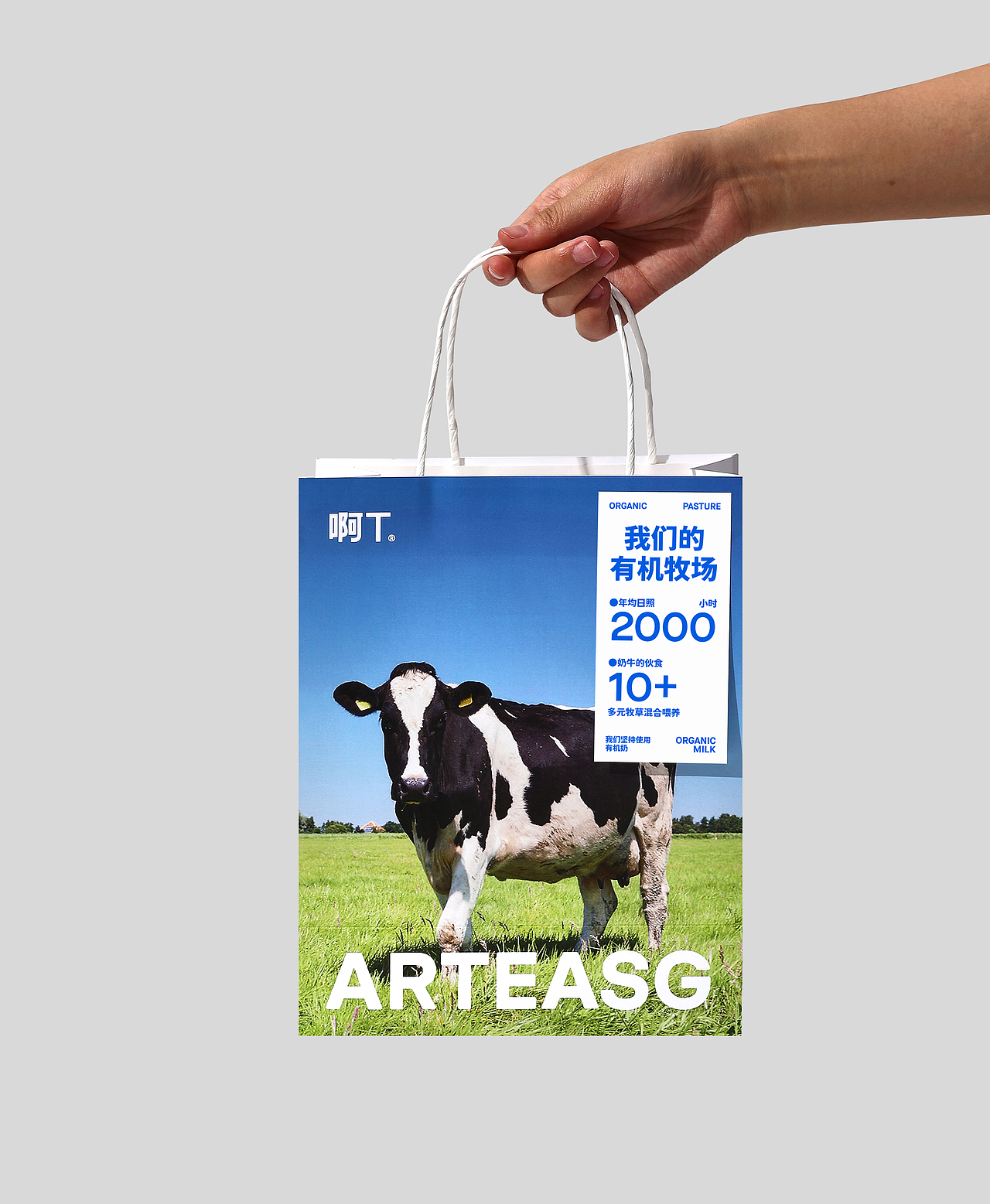 ARTEA X 理所设计