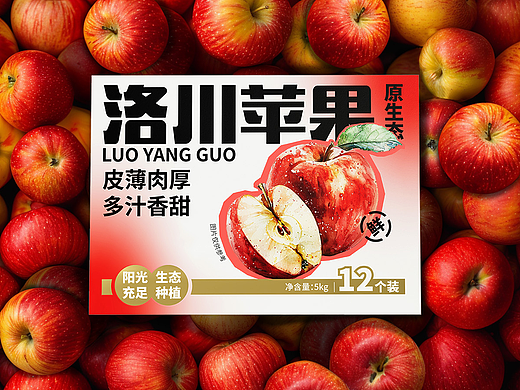 洛川苹果品牌包装/苹果包装设计