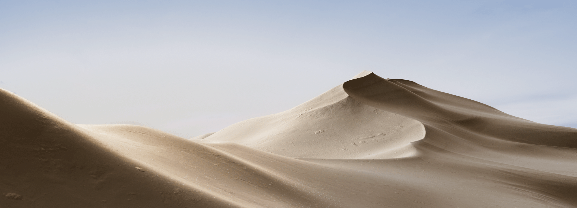 大肠金的个人主页（封面预览） - 主页封面设置 - 站酷设计师大肠金原创素材 - 站酷ZCOOL