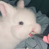 十柒sev的头像