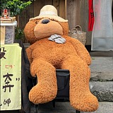 kkkkko的头像