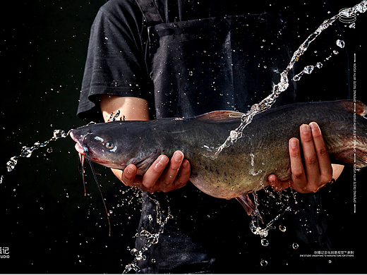 美食摄影 | 云潇潇 菜品拍摄