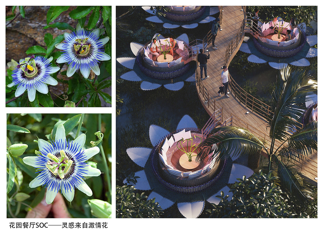 构筑灵感来自——激情花