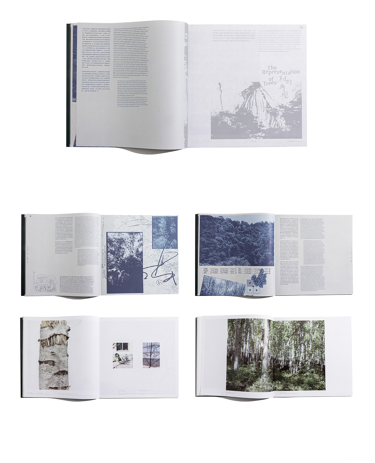 拥抱一棵树 Hugging a tree