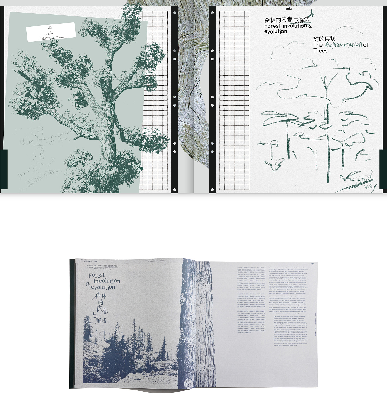 拥抱一棵树 Hugging a tree