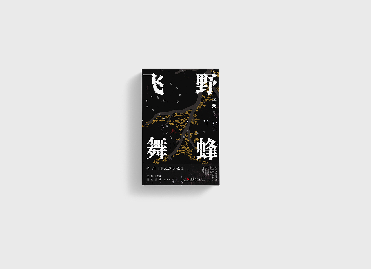文学小说类书籍封面设计（图ZMzc3ODE5MDA4） - 书籍/画册 - 站酷设计师白砚川原创素材 - 站酷ZCOOL