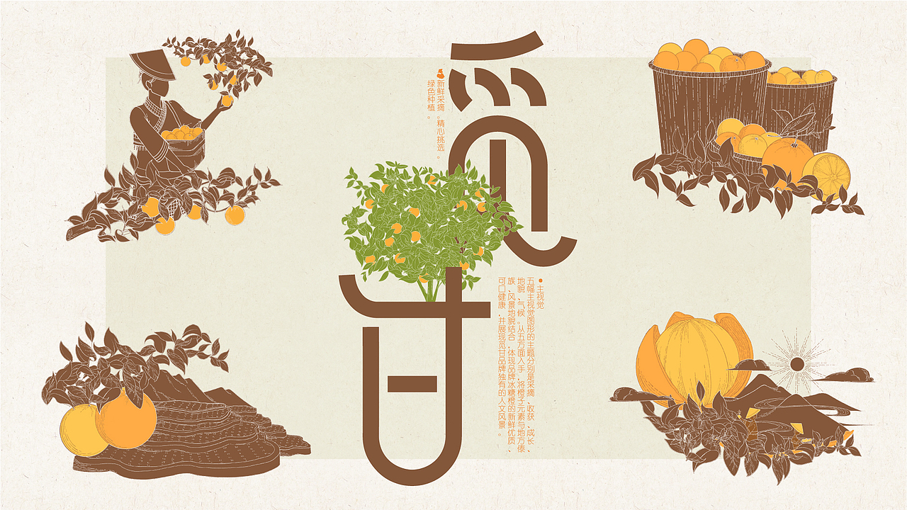 品牌设计|“觅甘”冰糖橙品牌设计