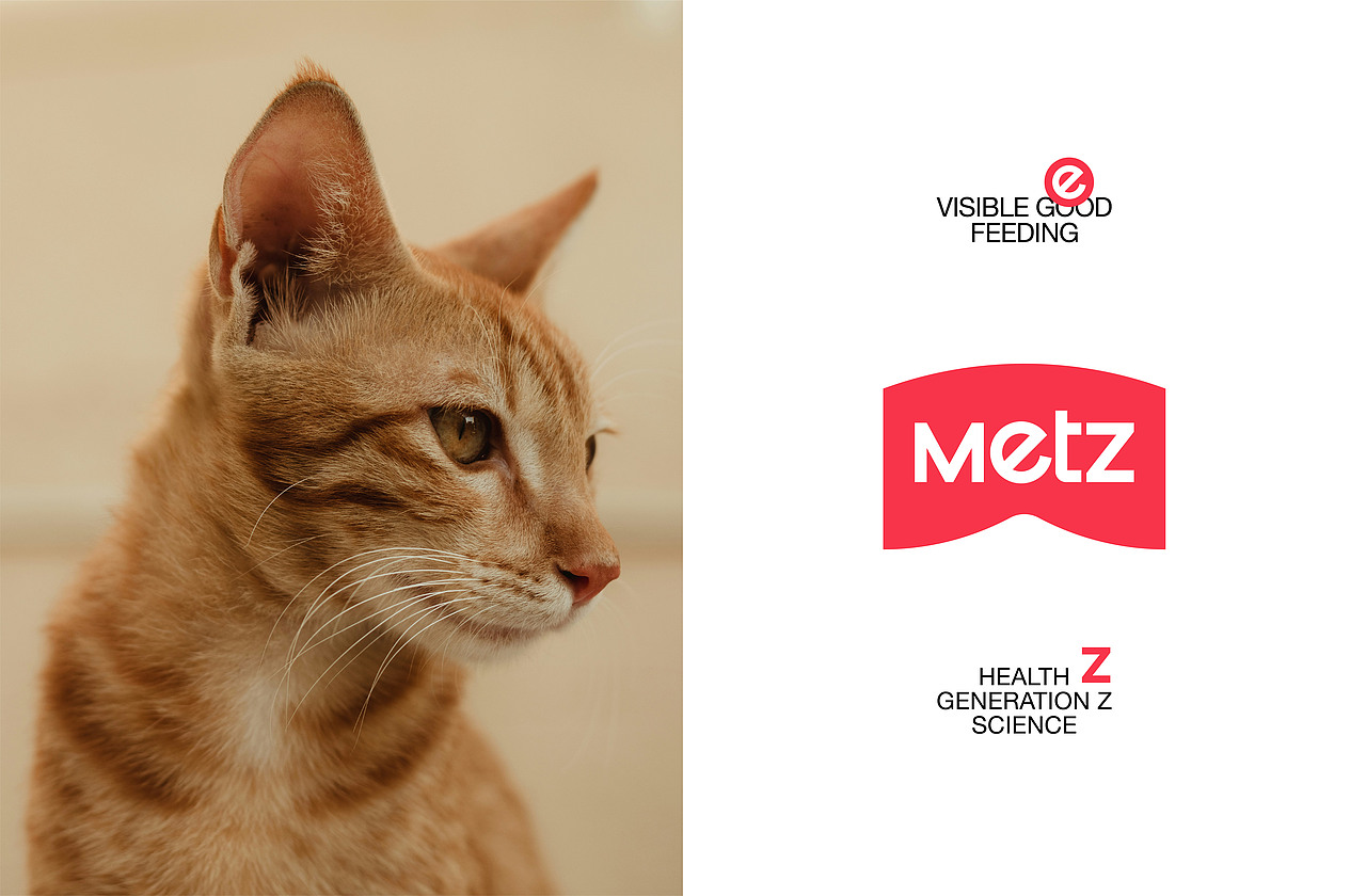 玫斯METZ品牌视觉升级全案