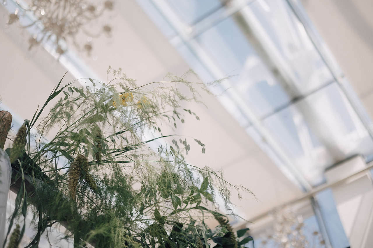 美惠和吴先生的 - 12年的爱情长跑