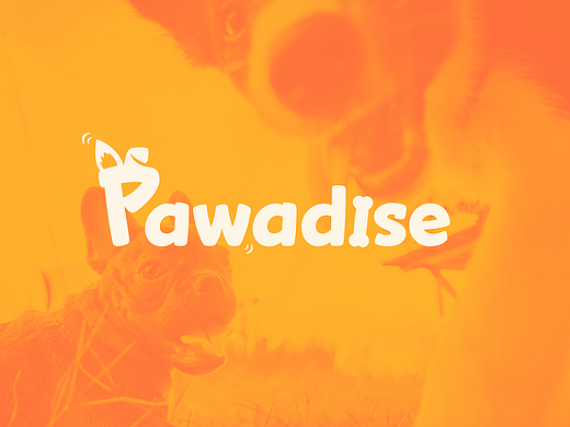 Pawadise| 宠物品牌設計