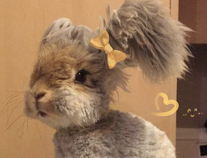 近期头像作品（七）| 头像/插画/厚涂（图ZMzc3ODU4OTMy） - 商业插画 - 站酷设计师京京Leah原创素材 - 站酷ZCOOL