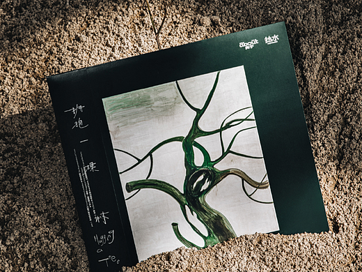 拥抱一棵树 Hugging a tree