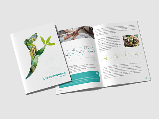 宣传册设计
