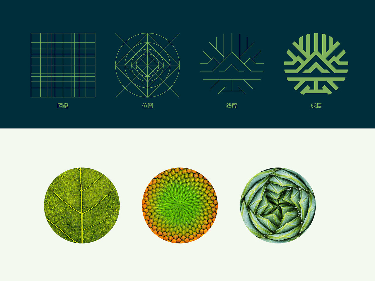 金丰农业标志VI系统设计（图ZMzc3ODg0MDAw） - 品牌 - 站酷设计师了不起的废废原创素材 - 站酷ZCOOL