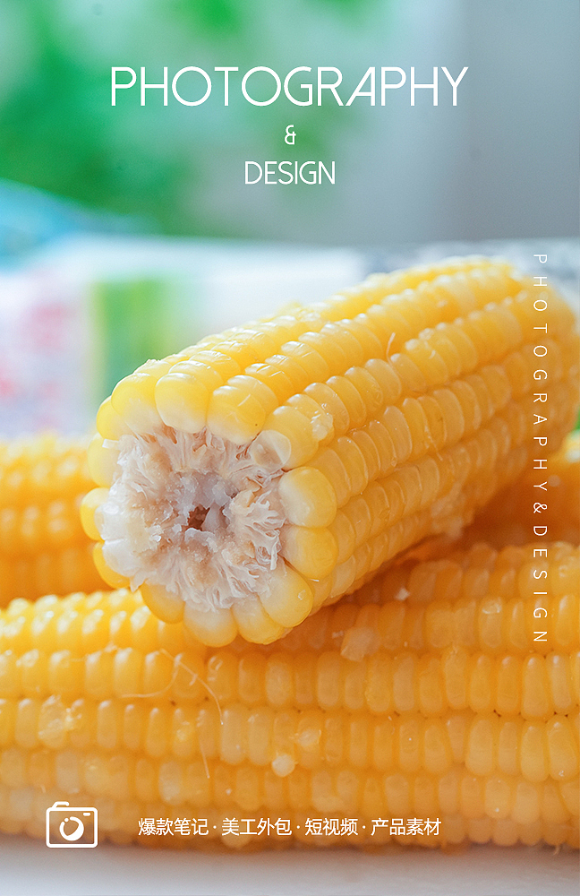新鲜玉米 黄玉米 杂粮拍摄