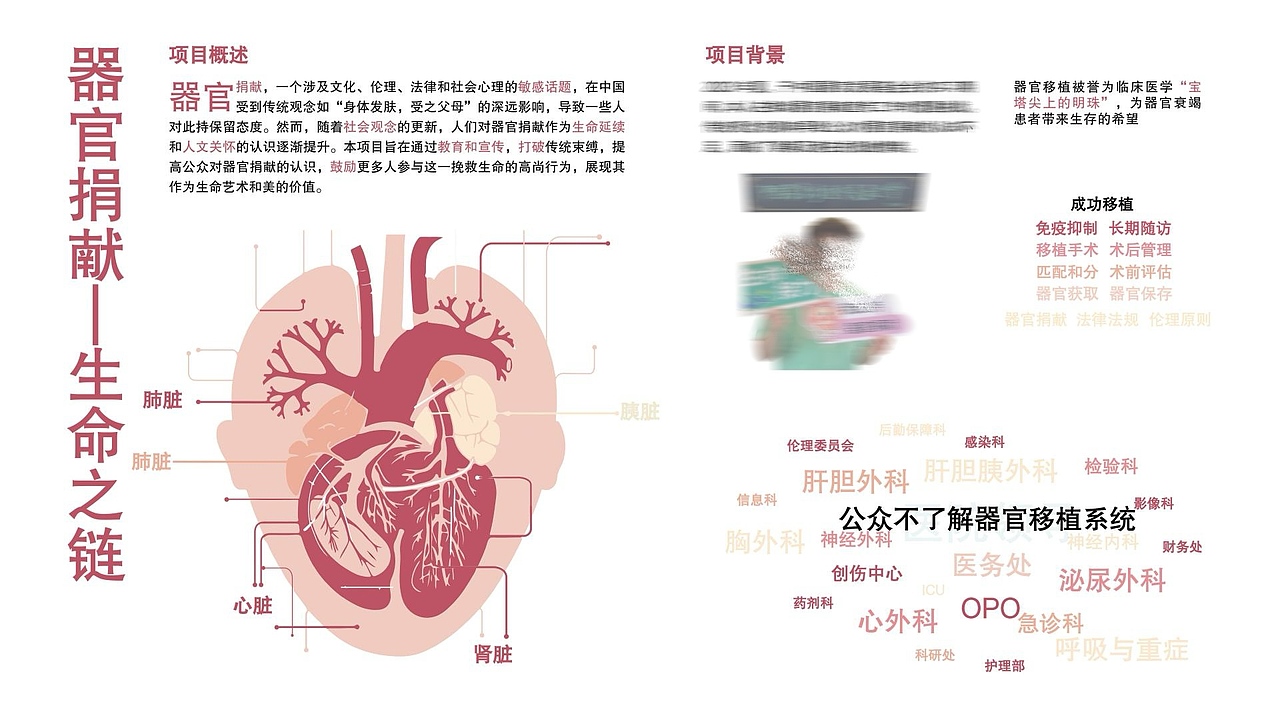 视觉传达设计专业作品集 大四本科生