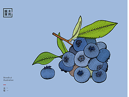 水果木刻畫包裝