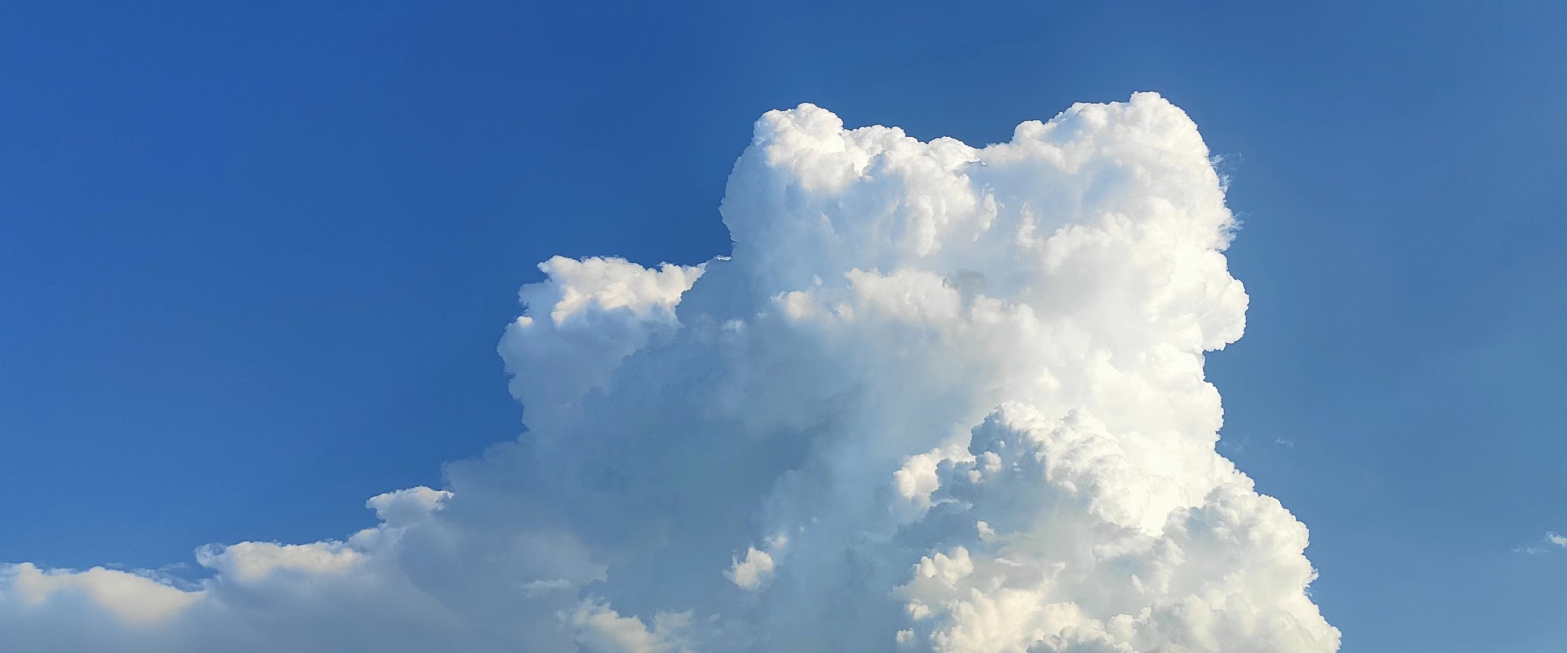 蓬松的綿羊的個人主頁（封面預覽） - 主頁封面設置 - 站酷設計師蓬松的綿羊原創(chuàng)素材 - 站酷ZCOOL