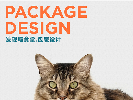 发现喵食堂 ╳ 盒胜盒 | 宠物品牌包装设计