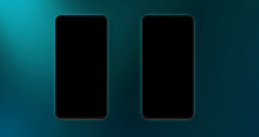 【鱼乐盛典】第二期