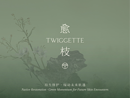 愈枝 TWIGGETTE丨品牌设计方案丨一