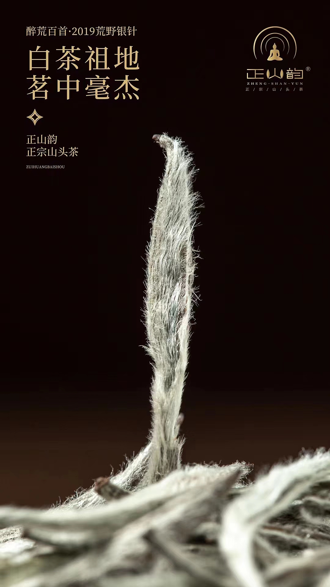 福鼎白茶——醉荒百首