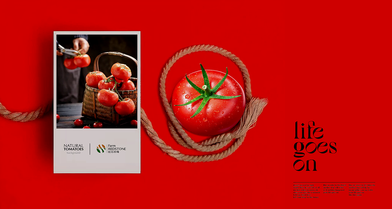 荣泽策划原创《红石农场》品牌logo设计（图ZMzc4MDEyMTg0） - 品牌 - 站酷设计师荣泽策划原创素材 - 站酷ZCOOL